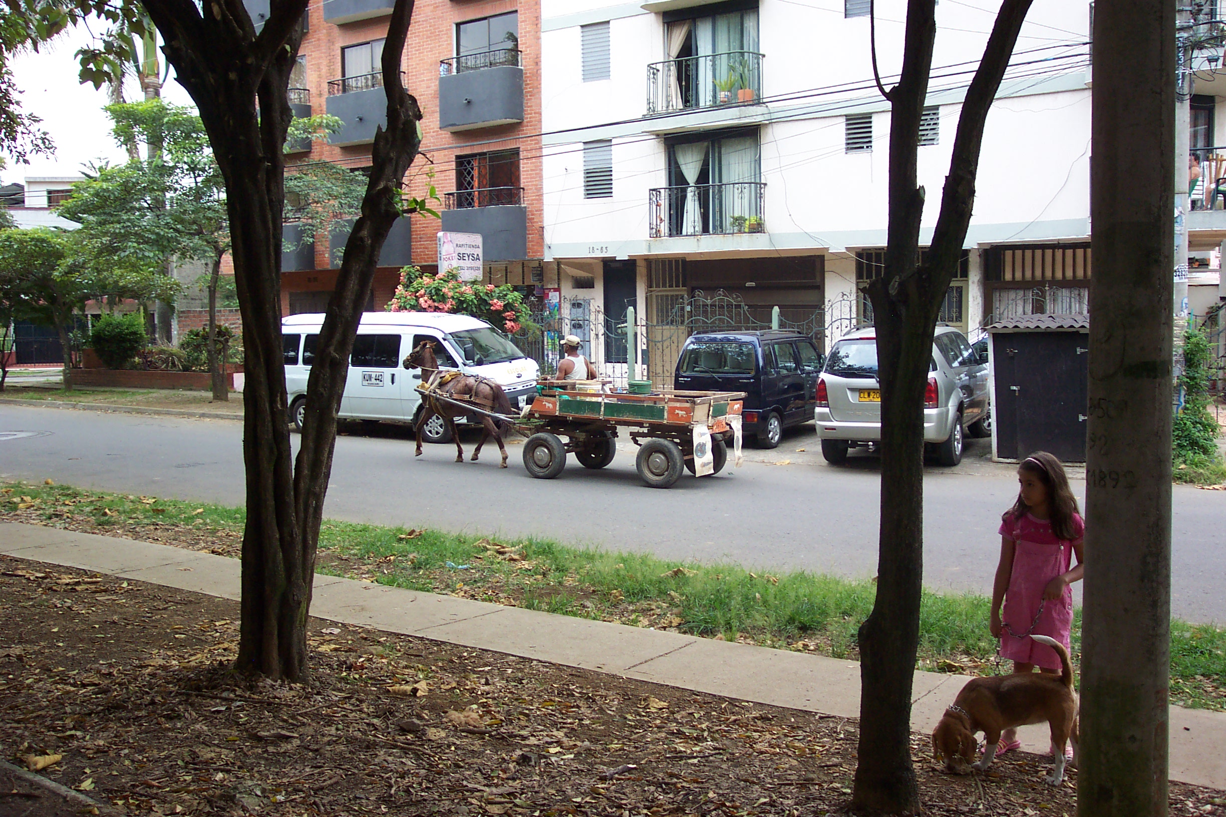 horse-n-cart