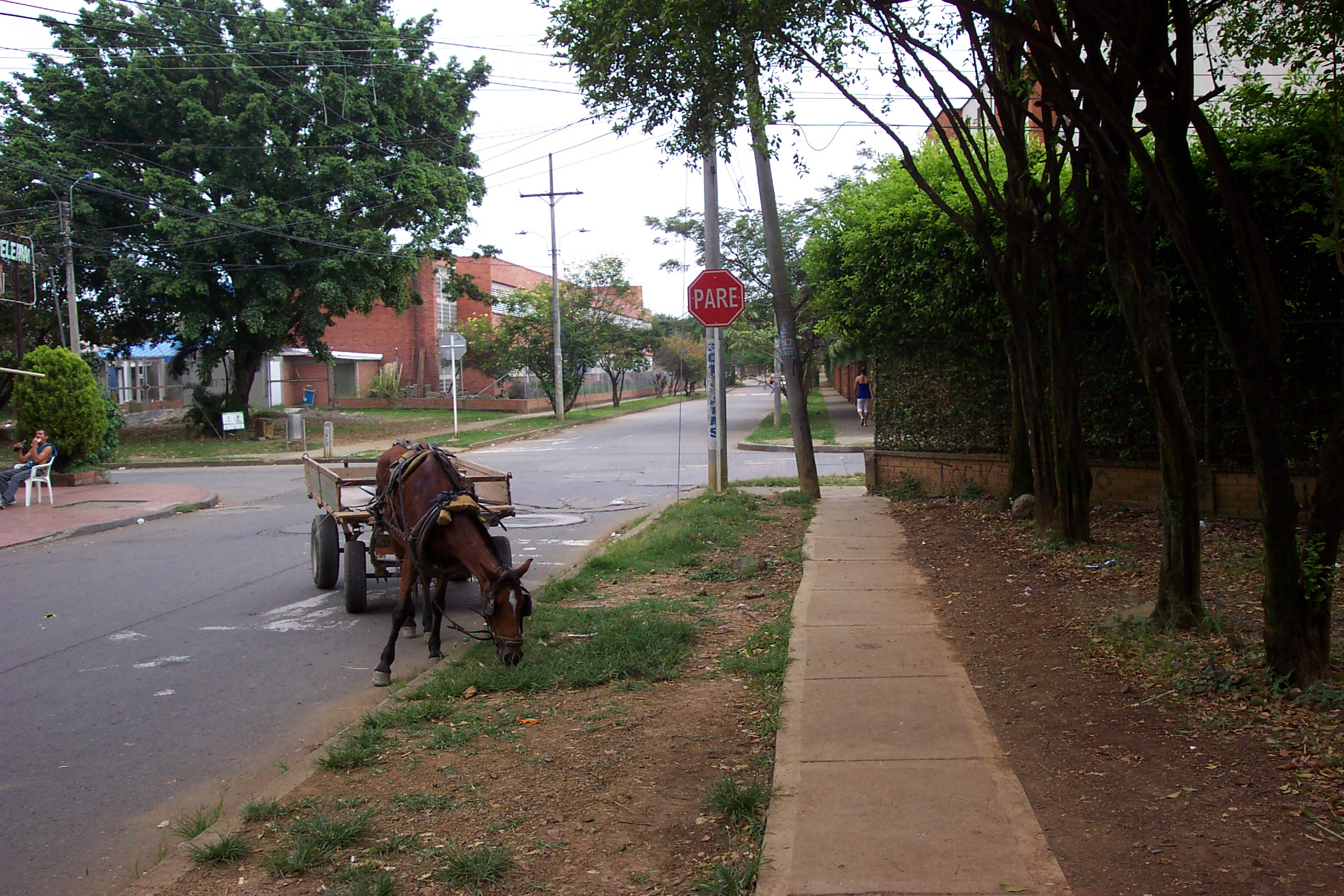 snacking-horse