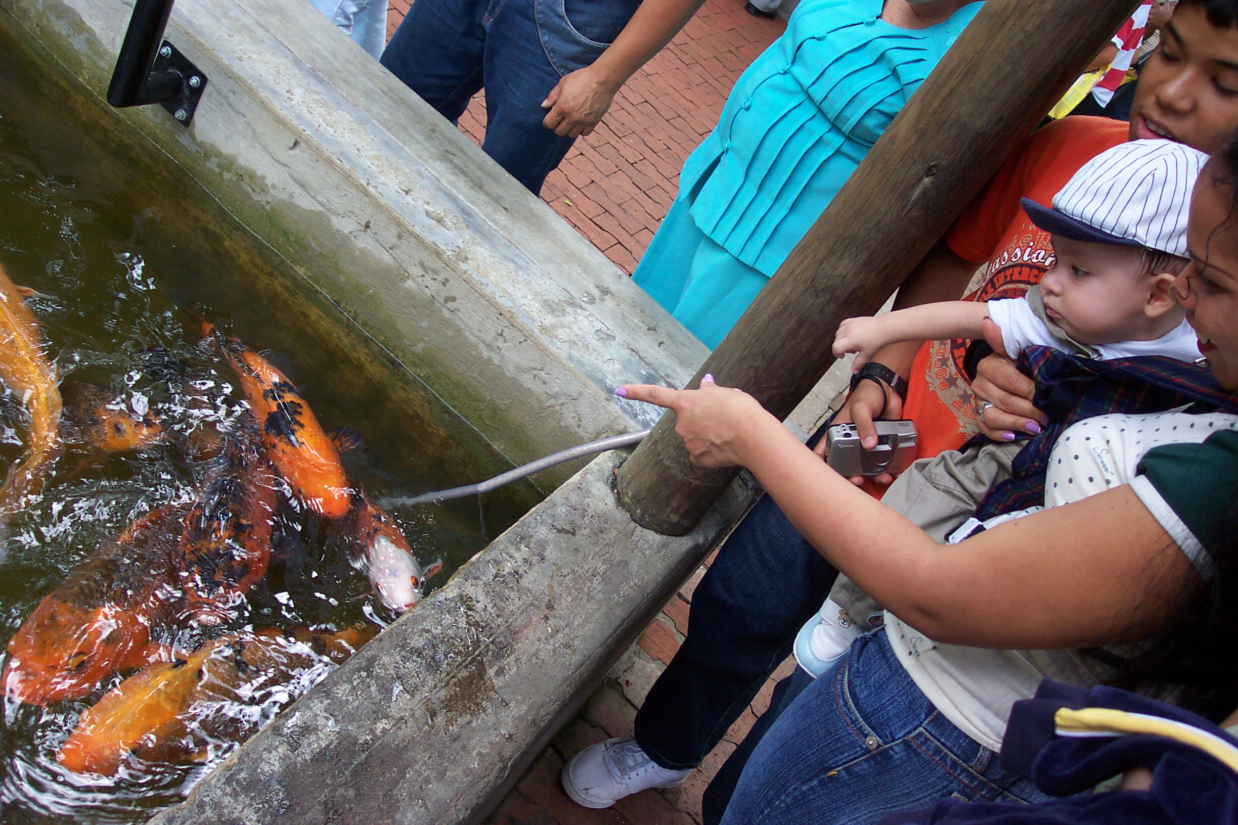cristian-looking-at-fish