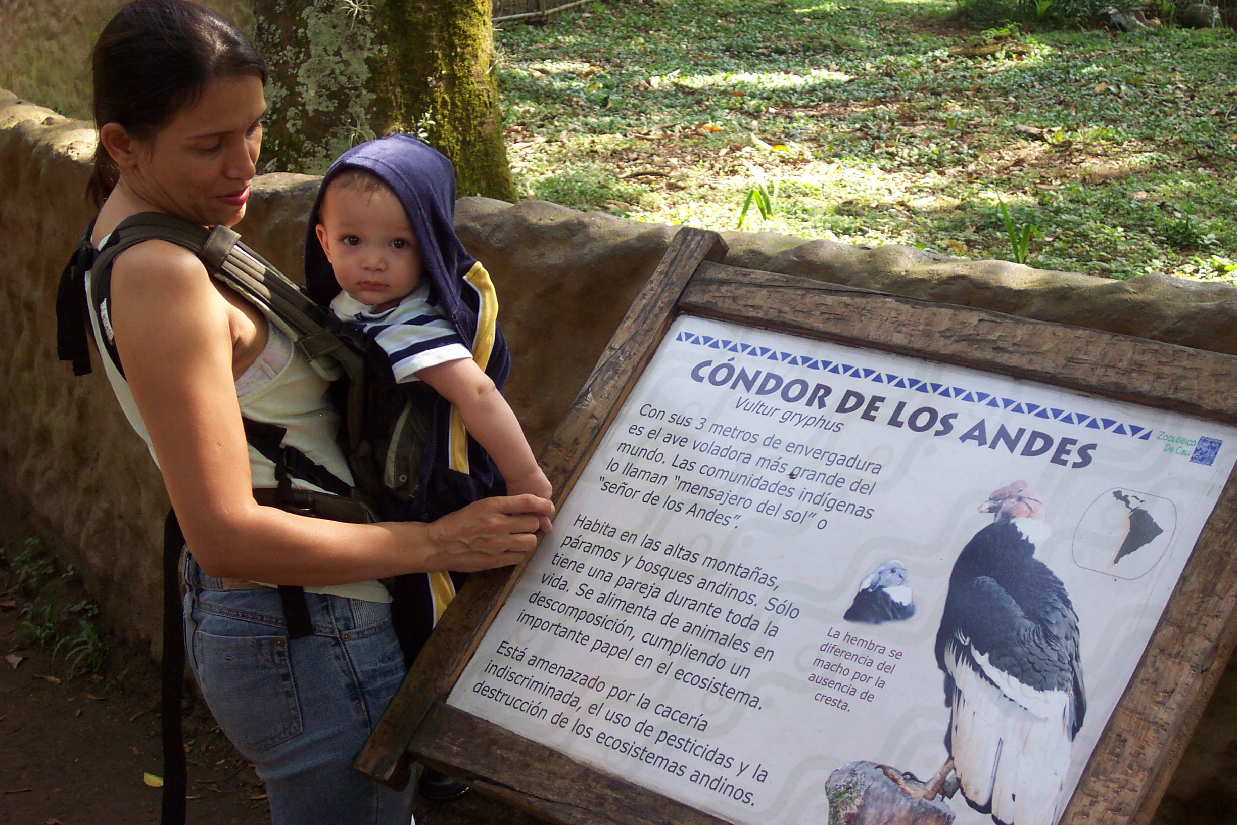 condor-sign1