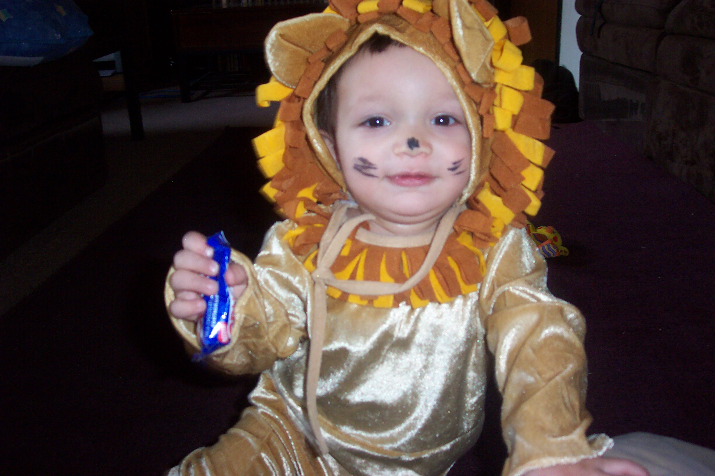 3096-mikey-lion