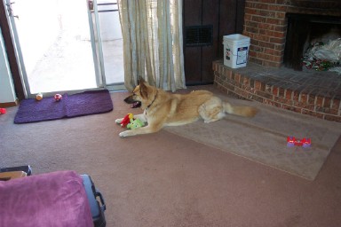 ginger&toys